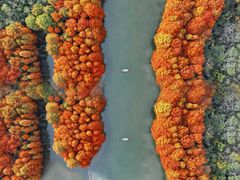 -上海海湾国家森林公园