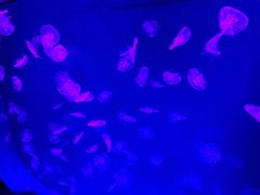 -沈阳海洋探索中心