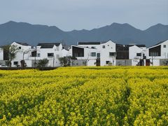 -东梓关景区村庄
