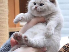 -1点点(银座和谐广场店)