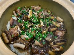 -红星光发煲仔饭(文海店)