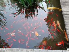 -聚缘堂·海鲜私房菜(松岭路店)
