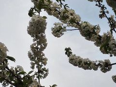 -浮山香苑