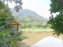 -鼎湖山风景区