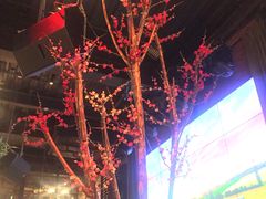 -胡桃里音乐酒馆(白云五号T5 MALL店)
