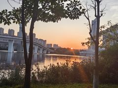 -厦门园林博览苑