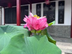 -李叔同故居纪念馆