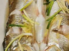 清蒸白鱼-观桥阁(锦溪店)