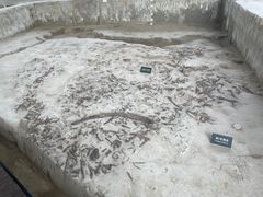 -金沙遗址博物馆