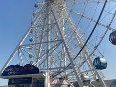 -琴岛之星摩天轮