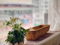 -月迷津渡(吾悦国际店)