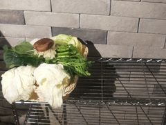 -友乐居羊蝎子(西直门店)