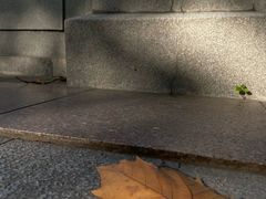 -蠡湖中央公园