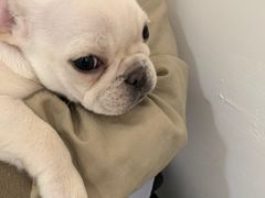 -GOOD好事咖啡(会展城店)