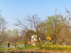 -西溪国家湿地公园