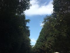 -陕西师范大学(雁塔校区)