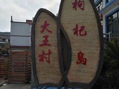 -枸杞岛