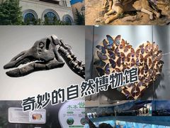 -大连自然博物馆