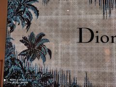 -DIOR迪奥(德基广场女装店)