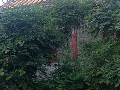 -刘公岛景区