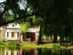 -上海共青森林公园