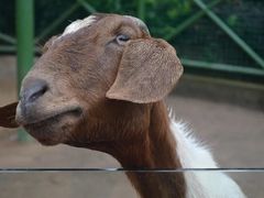 -杭州野生动物世界