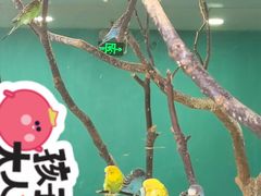 -上海大自然野生昆虫馆(东方明珠·爬宠昆虫探索中心)