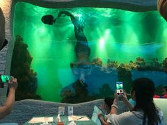 -瑞德姆美人鱼海底演艺主题餐厅(亚龙湾店)