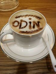 -ODIN 奥丁形象设计 