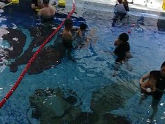 -尼莫亲子游泳NEMOSWIM(西美中心)