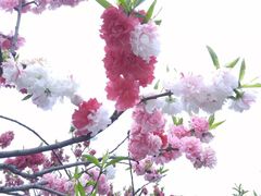 -宝鸡植物园