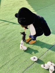 -萌宠亲子动物乐园(槐房万达店)