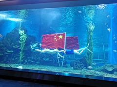 -顺德南宏海立方海洋公园