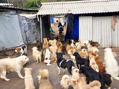 -蜀大侠火锅(春熙路店)