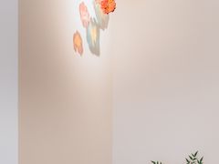 -Lao+ Space