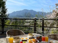 元气早餐-杭州桐庐康莱德酒店西餐厅-舍