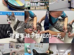 -艾贝尔宠物医院·宠保定点·超声绝育·免疫点(樱花路店)