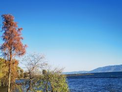 点击看大图 -韩国丽安形象设计