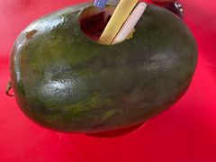 -荷兰红屋