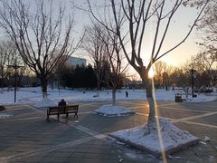 -西海子公园