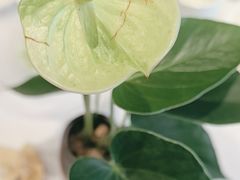 -眉州东坡(北苑华贸店)