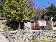 -塔川景区