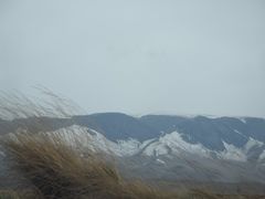 -山丹皇家马场