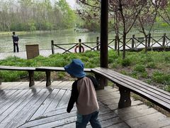 -溱湖国家湿地公园