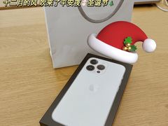 -Apple零售店(济南恒隆广场店)