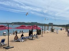 -海驴岛(荣成市)