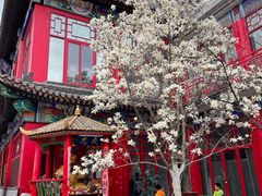 -华声天桥民俗文化园