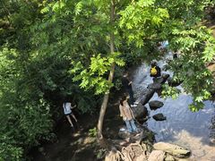 -重庆彩云湖湿地公园