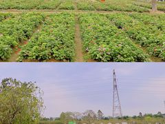 -盈香心动乐园