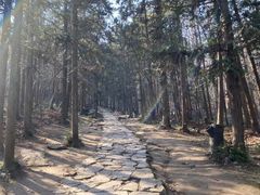 -冶父山国家森林公园